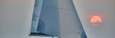 Jeanneau BLACK STAR II